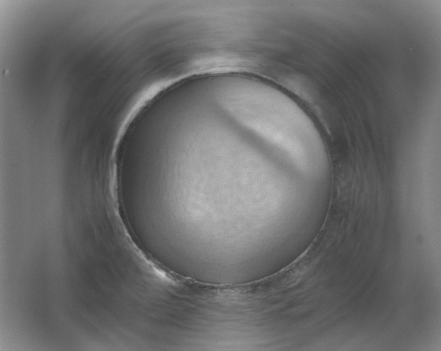 X0000064041472200602101412