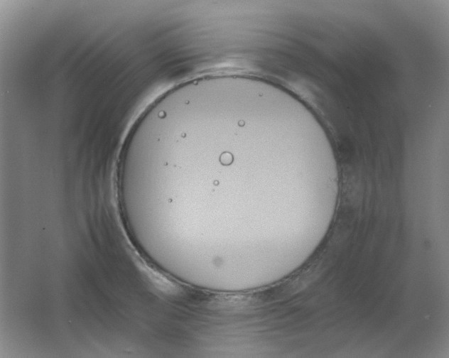 X0000064041474200602101412