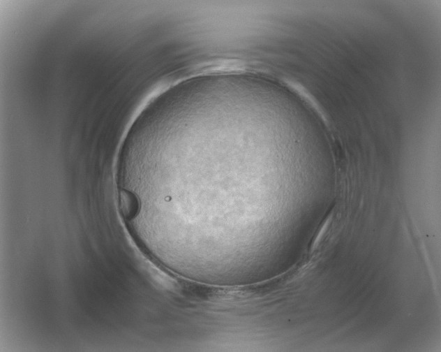 X0000064041475200602101412