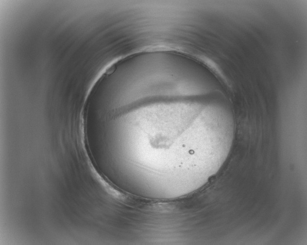 X0000064041476200602101412