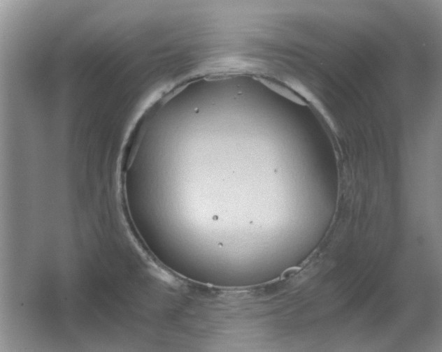 X0000064041477200602101412