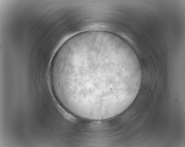 X0000064041478200602101412