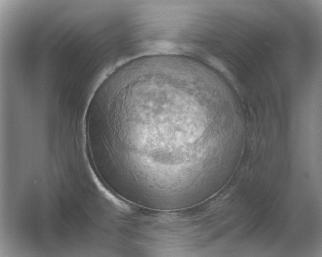 X0000064041479200602101412