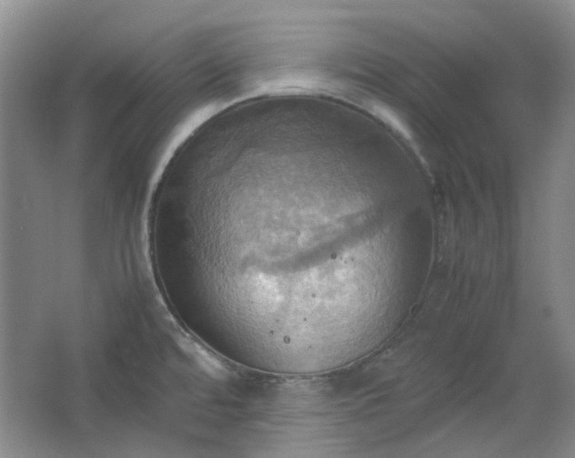 X0000064041480200602101412