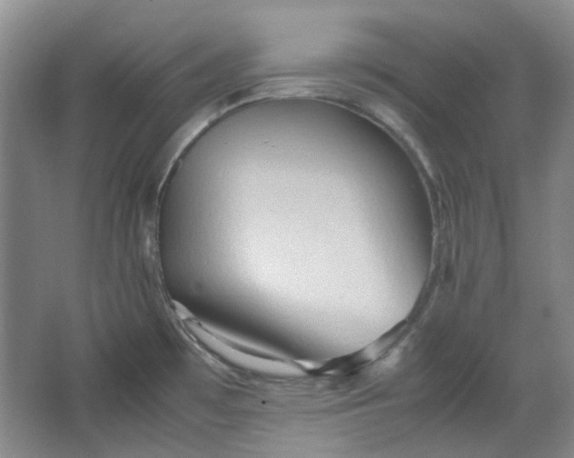 X0000064041481200602101412