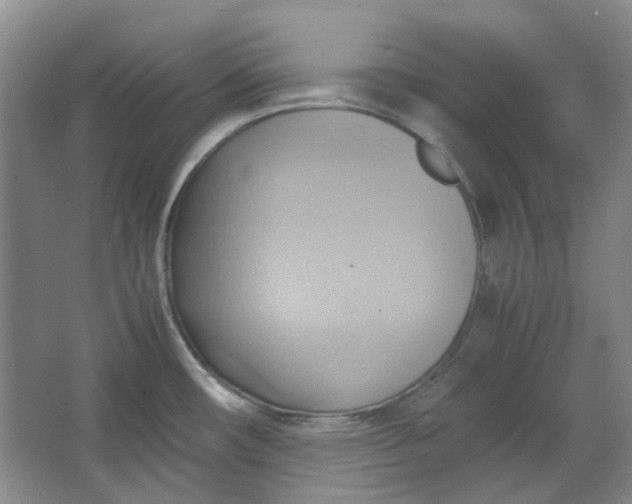 X0000064041482200602101412