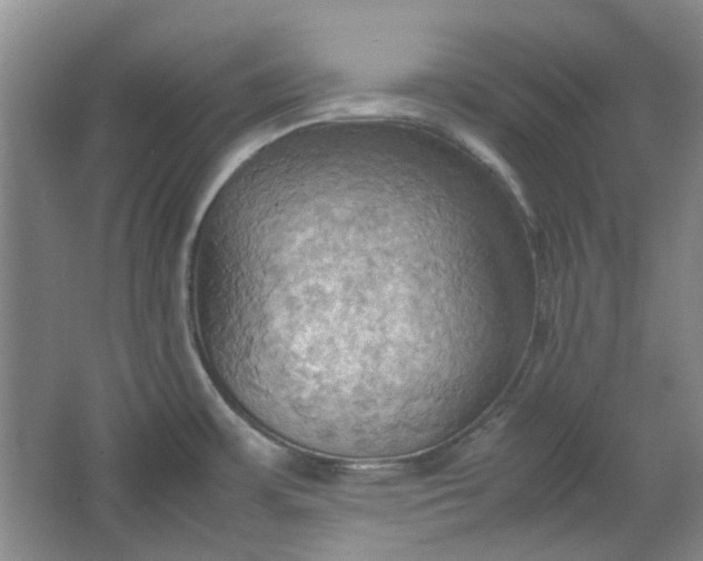 X0000064041483200602101412