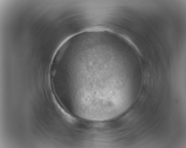 X0000064041484200602101412