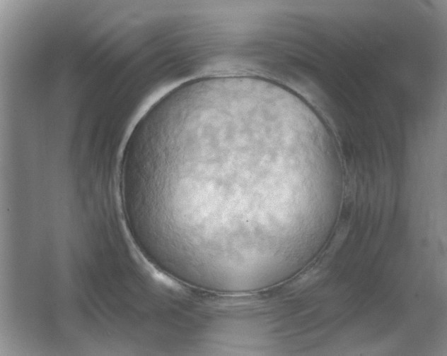 X0000064041486200602101411