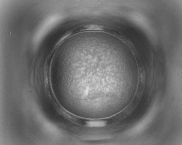 X0000064041487200602101411