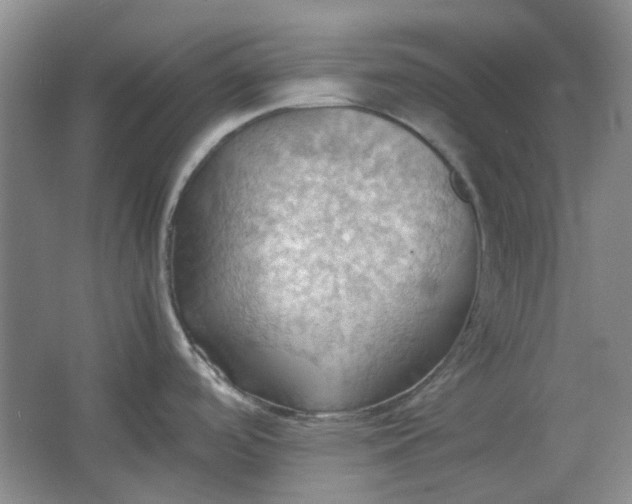 X0000064041488200602101411