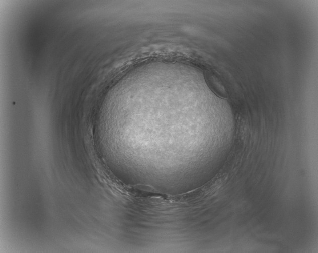 X0000064041489200602101411