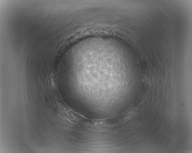 X0000064041490200602101411