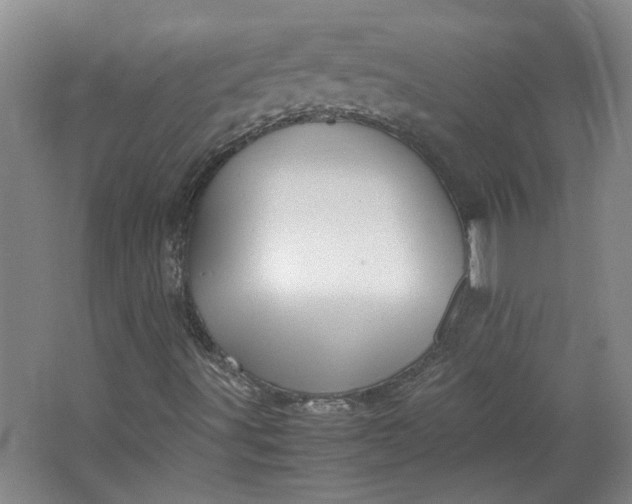 X0000064041491200602101411