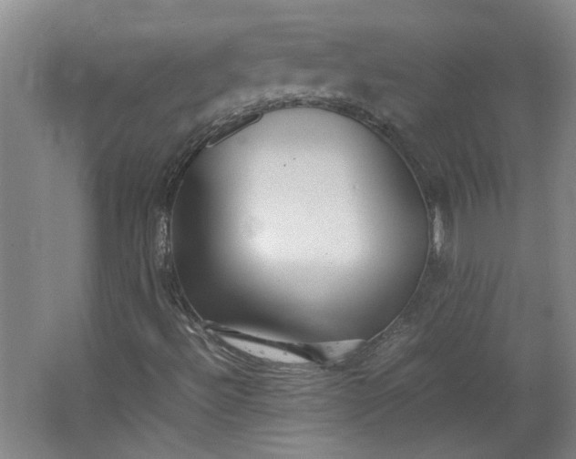 X0000064041492200602101411