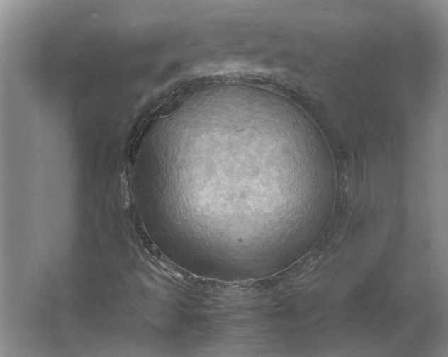 X0000064041493200602101411