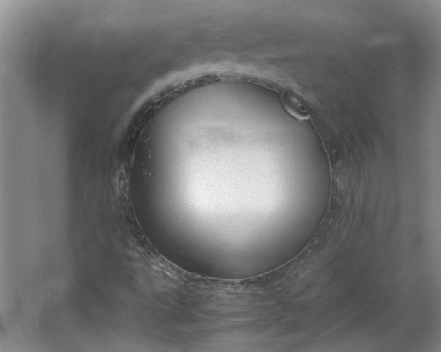 X0000064041495200602101411