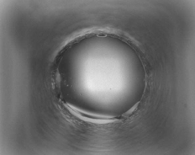 X0000064041496200602101411