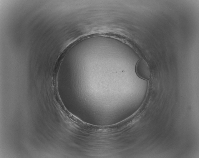 X0000064041497200602101411