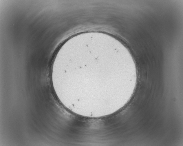 X0000064041498200602101411