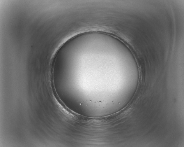 X0000064041500200602101411