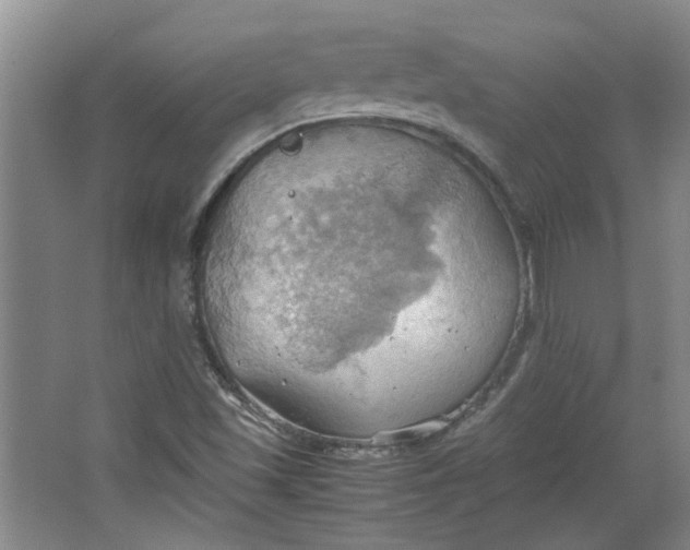 X0000064041501200602101411