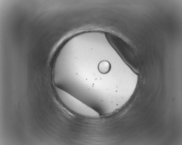 X0000064041502200602101411