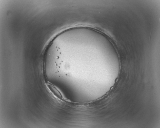 X0000064041504200602101411