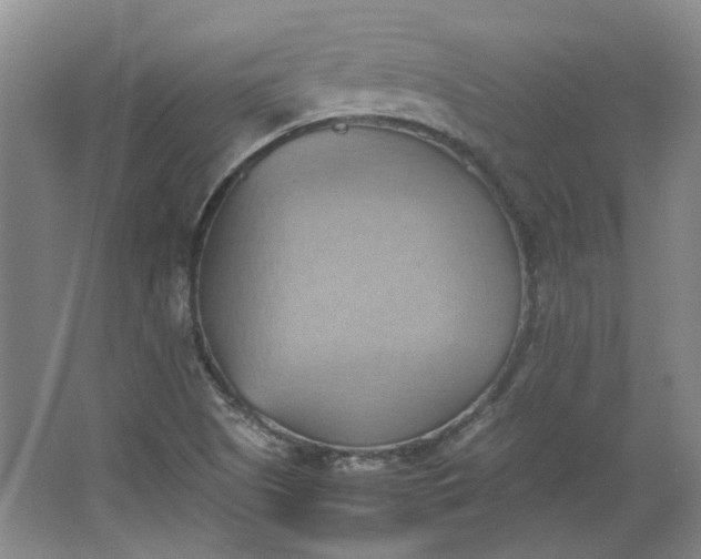 X0000064041505200602101411