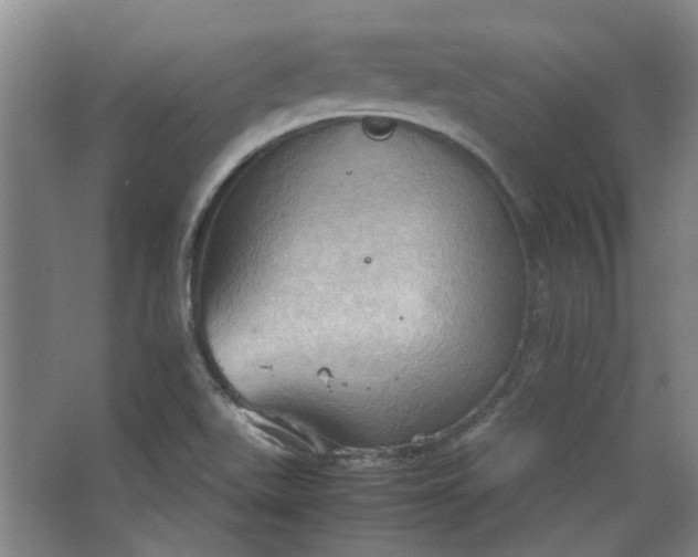 X0000064041511200602101411