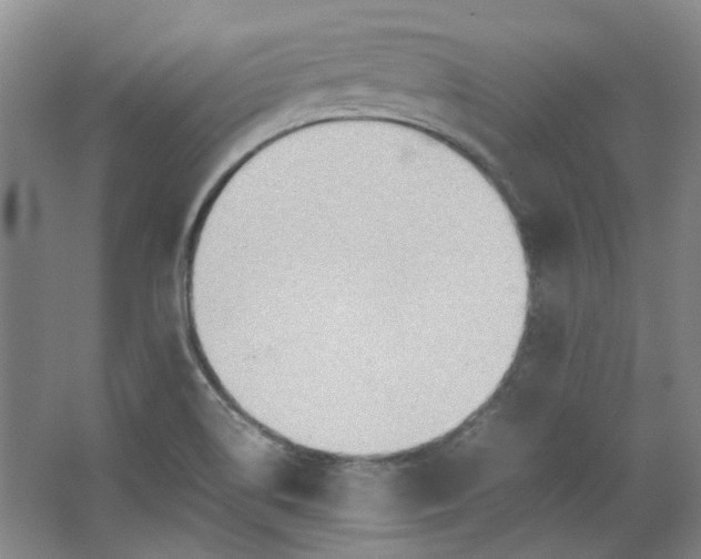 X0000064041514200602101411