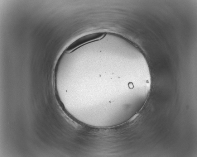 X0000064041516200602101411