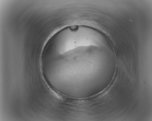 X0000064041517200602101411