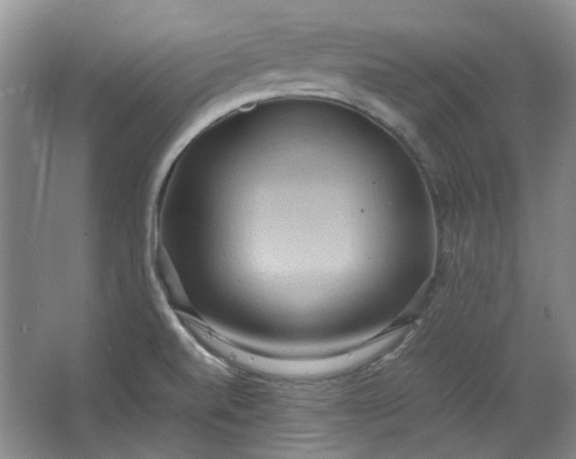 X0000064041520200602101411