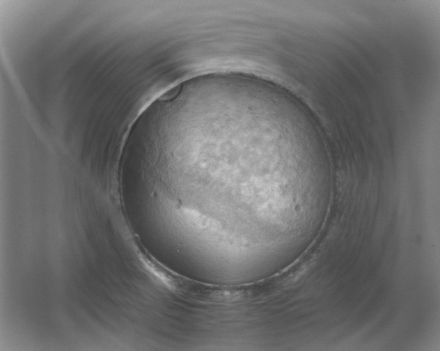 X0000064041521200602101411