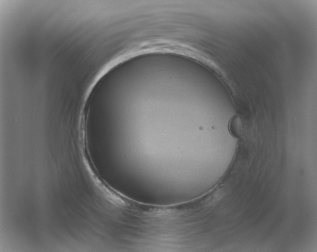 X0000064041522200602101411