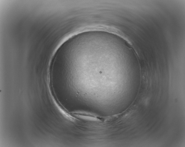 X0000064041523200602101411