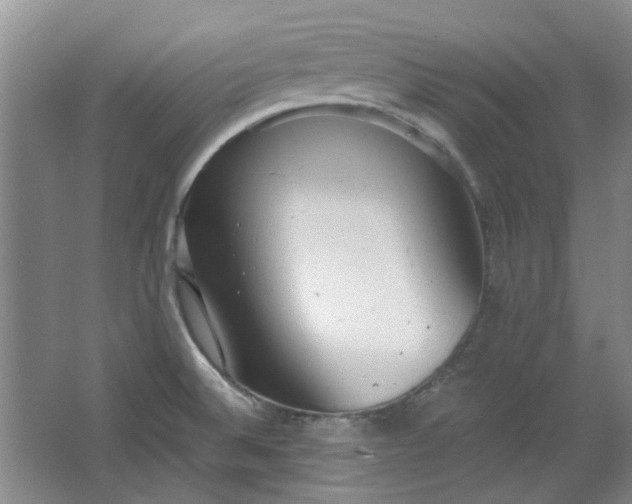 X0000064041524200602101411