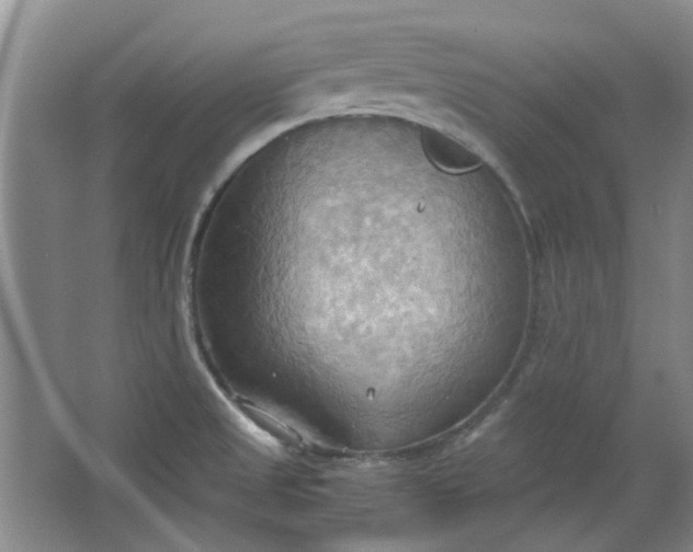 X0000064041525200602101411