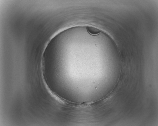 X0000064041526200602101411