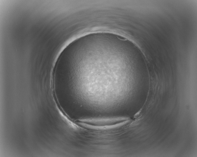 X0000064041527200602101411