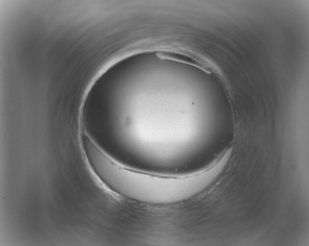 X0000064041528200602101411