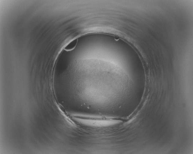 X0000064041529200602101411