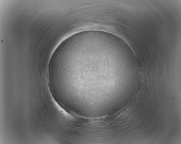 X0000064041531200602101411