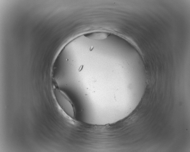 X0000064041532200602101411