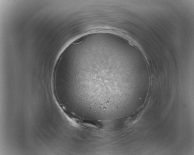 X0000064041533200602101411