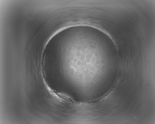 X0000064041534200602101411