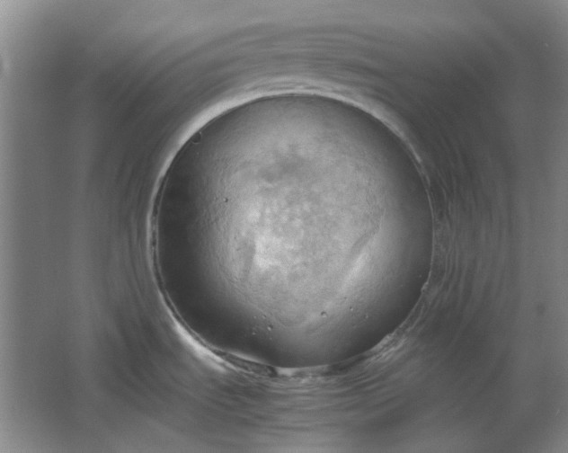 X0000064041535200602101411