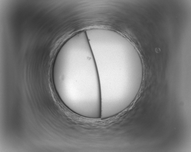 X0000064040001200602171656