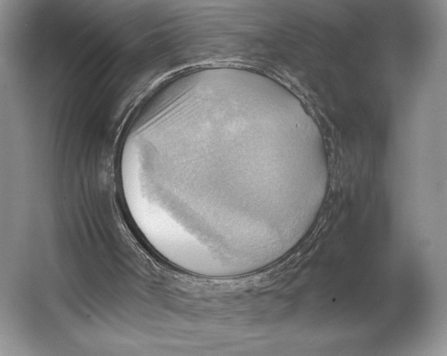 X0000064040002200602171656